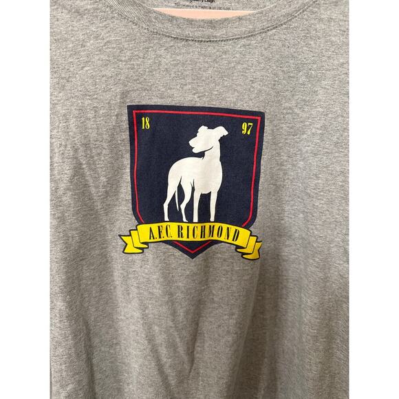 Ted Lasso Jerry Leigh Grey AFC Richmond Short Sleeve Men's Tshirt, XXL - Picture 1 of 5